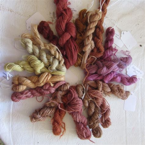 The plant life yarn vibrant with magic
